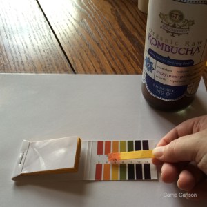 kombucha pH test
