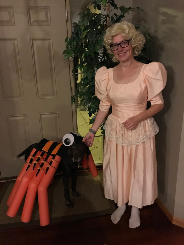 LIttle Miss Muffet and her spooder